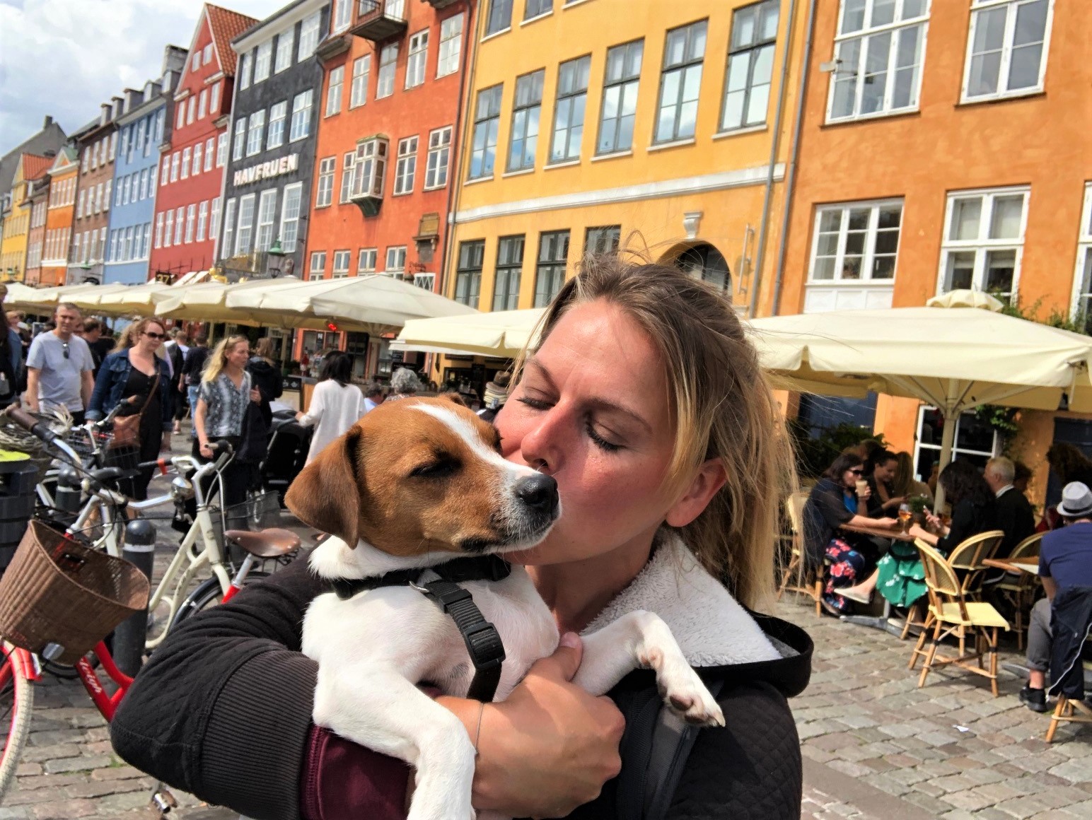 Avoir un chien.... ça veut dire quoi ? - Voyager avec son chien